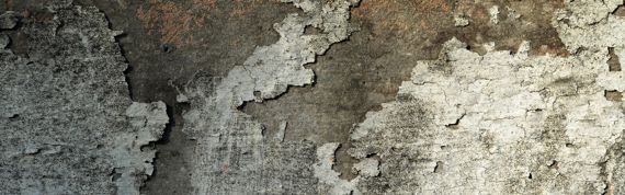 Schimmelpilz pr&uuml;fen durch einen unabh&auml;ngigen Bauexperten